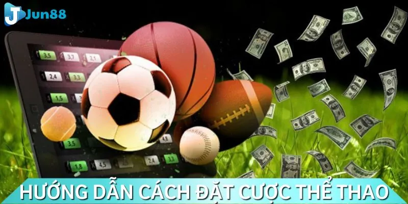 Tham gia sảnh thể thao cực đơn giản