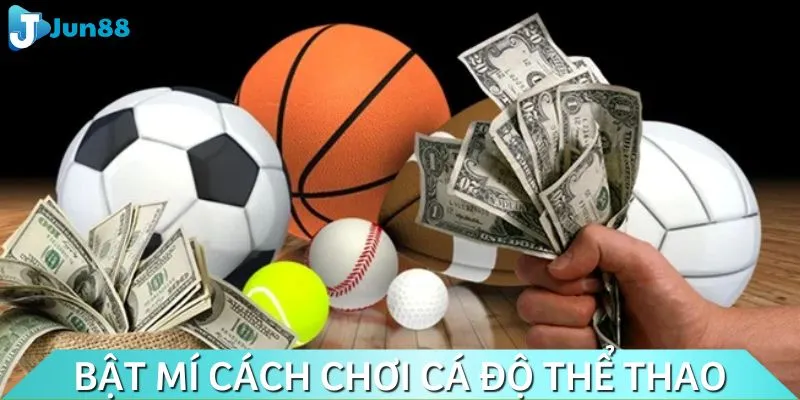 Lưu ngay bí kíp chơi cá cược thể thao bất bại