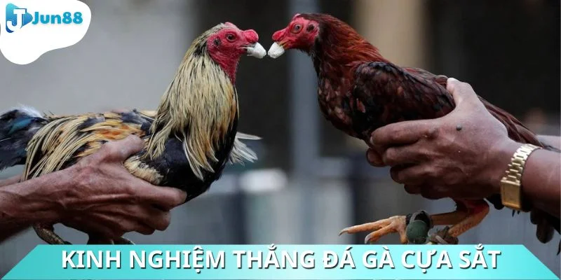 Nên xem xét màu mạng trước khi xuống tiền