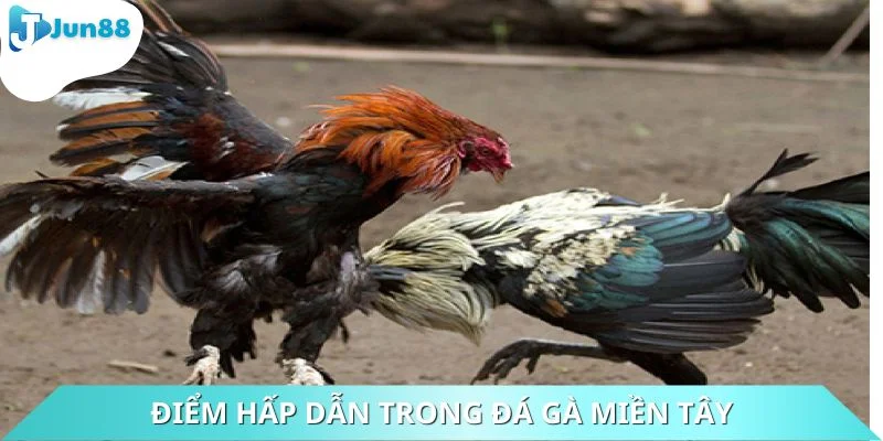 Hình thức này có nhiều điểm thú vị đến bất ngờ