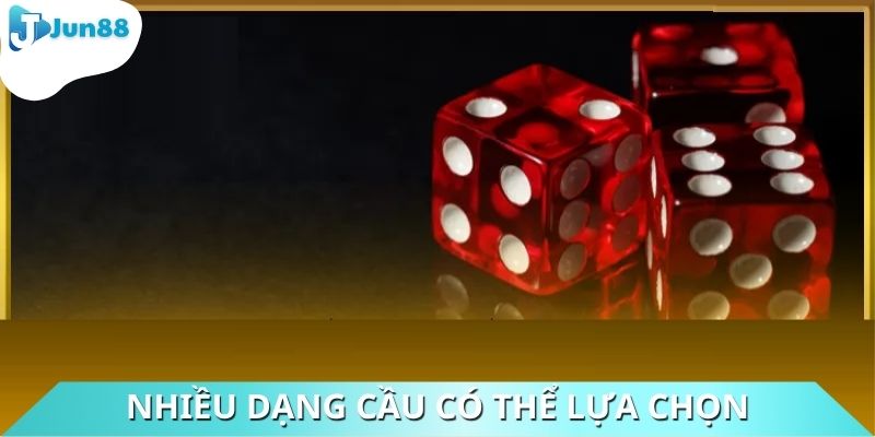 Nhiều dạng cầu có thể lựa chọn
